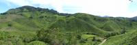 363 Teeplantage, Cameron Highlands, Malaysia