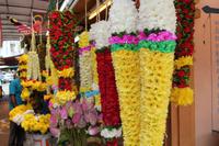 Blumenmarkt Little India!