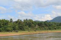 Fahrt mit dem Langboot zum Resort im Taman Negara