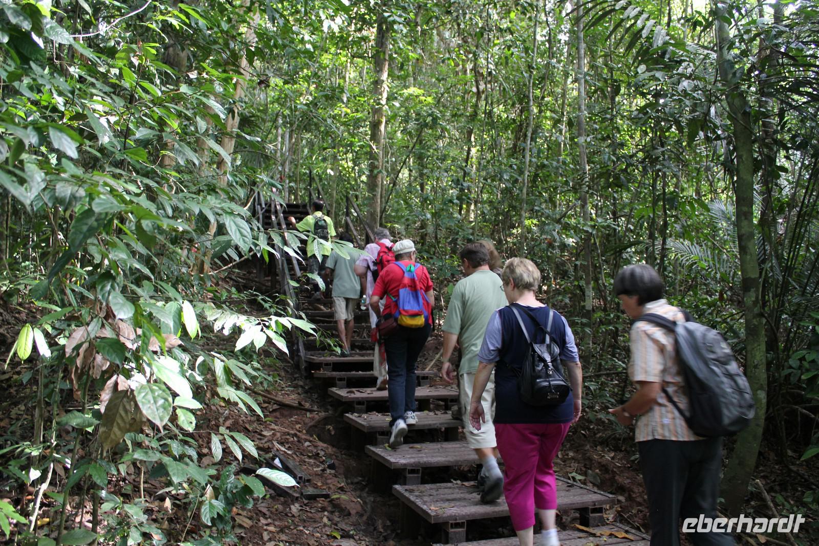 Dschungelwanderung im Taman Negara