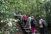 Dschungelwanderung im Taman Negara