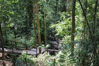 Aufstieg zum Teresek Hill (freiwillig!)