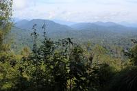Blick vom Teresek Hill über die Weite des Dschungels