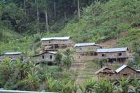 vorbei an Orang Asli Siedlung