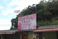 Besuch des Rosengartens