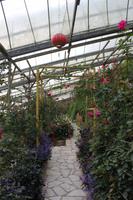 Besuch des Rosengartens