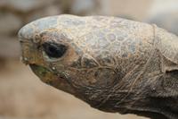 Besuch im Schmetterlings- & Insektengarten