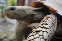 Besuch im Schmetterlings- & Insektengarten