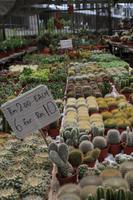 Besuch im Schmetterlings- & Insektengarten