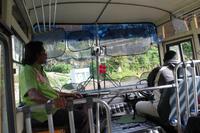 mit dem Schulbus in die Teeplantagen!