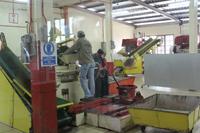 Besichtigung der Teefabrik