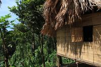 bei den Orang Asli