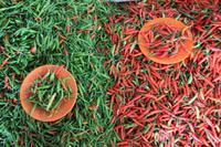 Marktbesuch bei Kuching