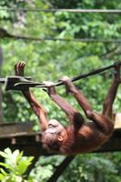 und ab gehts wieder in den Dschungel