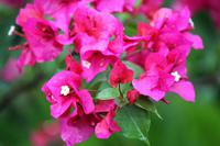 unsere Abai Jungle Lodge