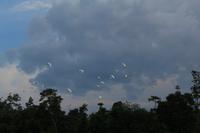 Tierbeobachtungstour am Nachmittag