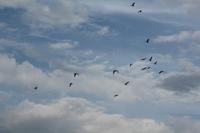 Tierbeobachtungstour am Nachmittag