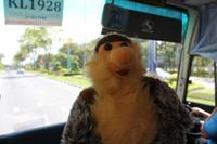 Elisas große Freude!