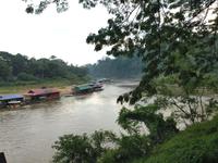 Bootsfahrt in den Dschungel nach Taman Negara