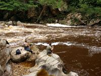 Taman Negara - die Stromschnellen von Lata Berkoh