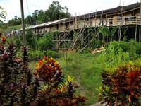 Borneo-Sarawak: Das Langhaus der Iban