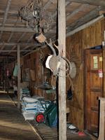 Borneo-Sarawak: Im Langhaus der Iban