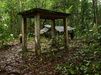 Borneo-Sarawak: Alter Friedhof der Iban im Dschungel