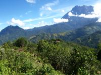 Borneo-Sabah: Der Mount Kinabalu(4095m)