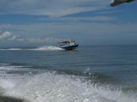 Borneo-Sandakan: Bootsfahrt zur Dschungel-Lodge Sukau