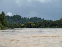 Borneo-Sandakan: Nach dem Regenguß auf der Bootsfahrt nach Sukau