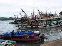 Borneo: In Kota Kinabalu