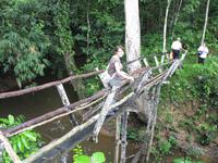 Batang_Ai_Dschungelwanderung_IMG_0521