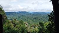 Blick auf den Taman Negara Nationalpark, Malaysia