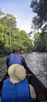 Bootsfahrt - Taman Negara