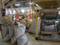 Cameron Highlands - Besuch der Teefabrik von BOH