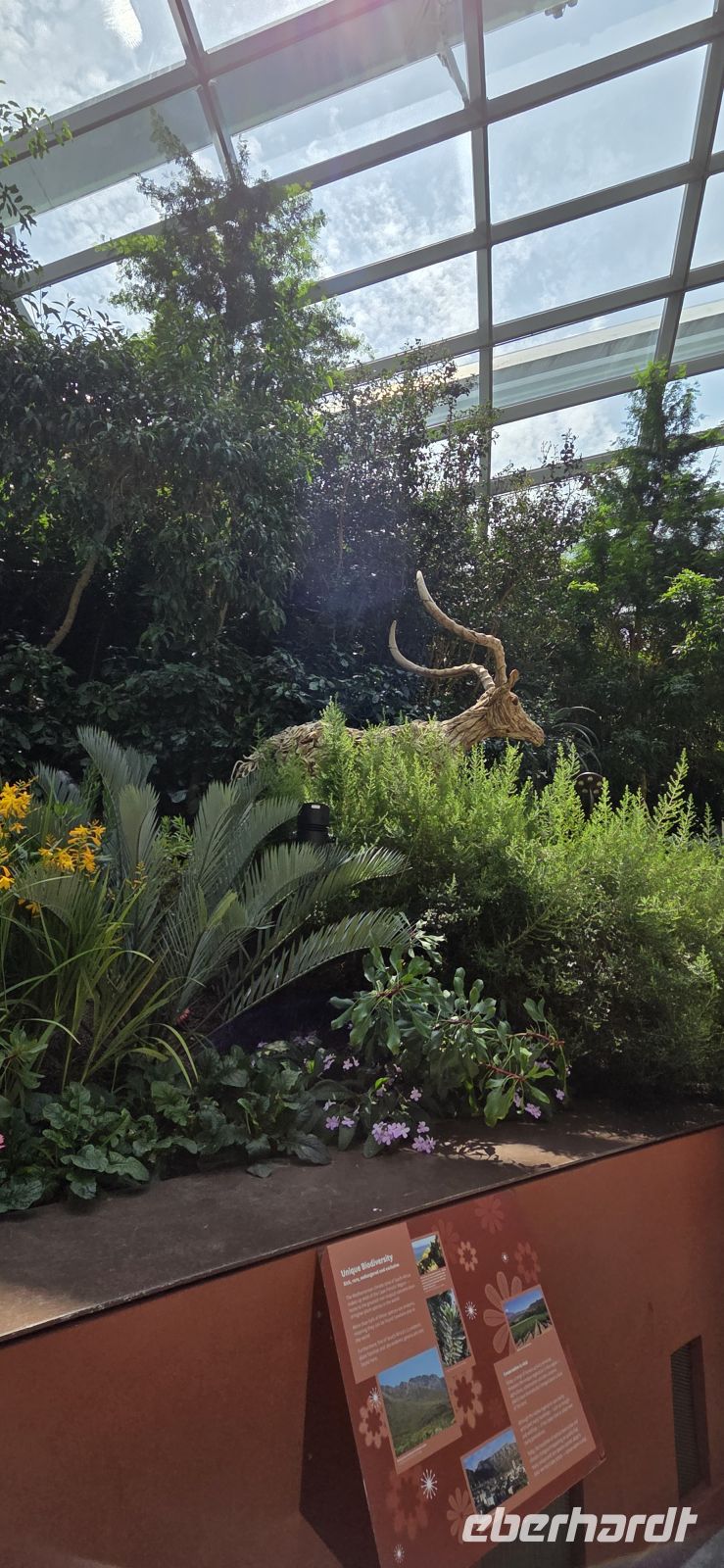 Flower Dome - Singapur 