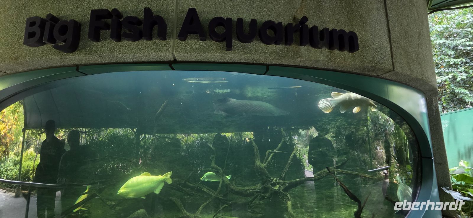 Gardens by the Bay - Singapur 