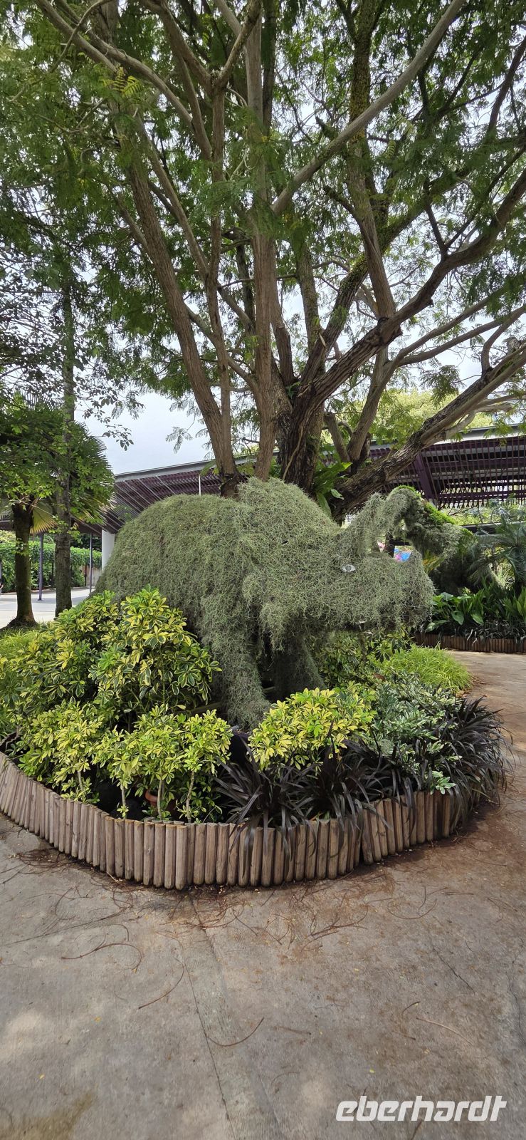 Gardens by the Bay - Singapur 
