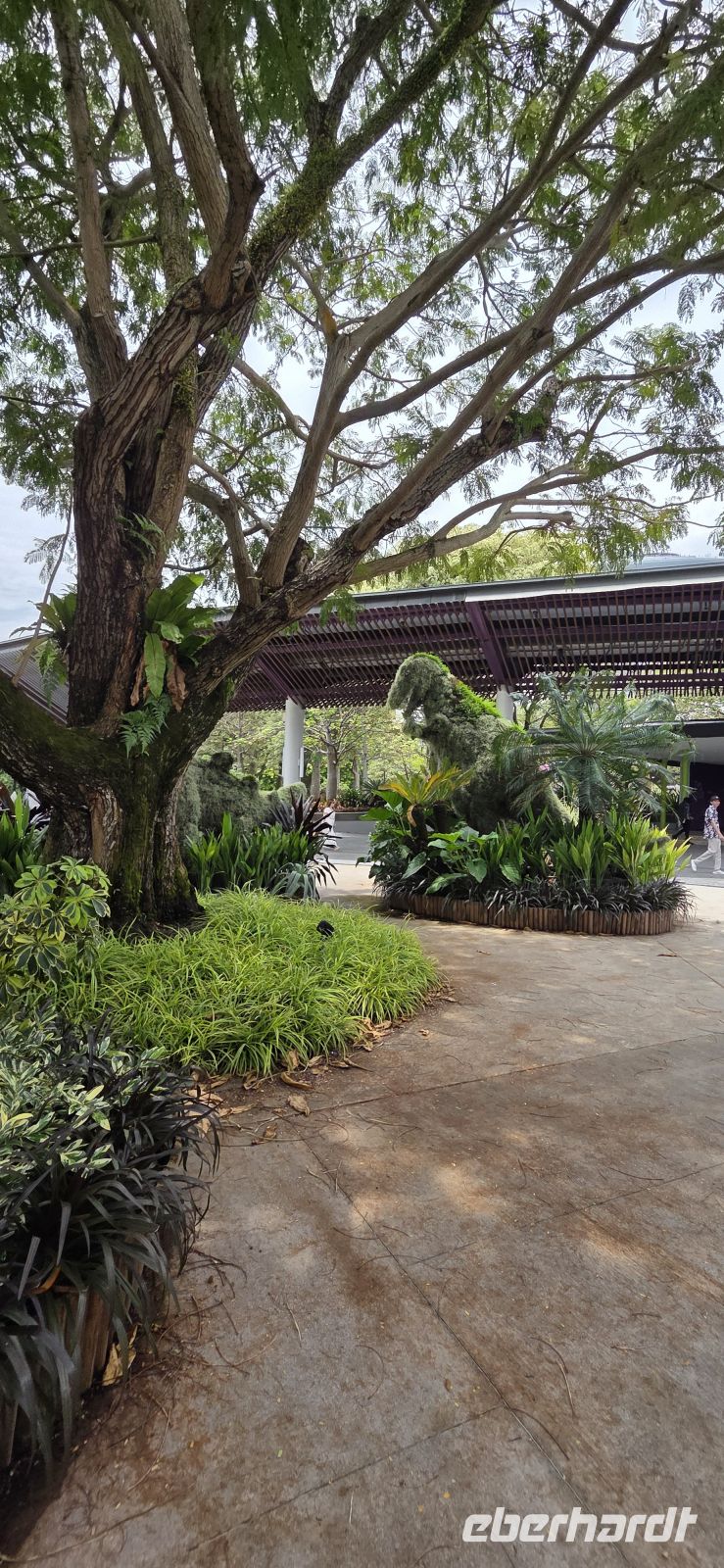 Gardens by the Bay - Singapur 