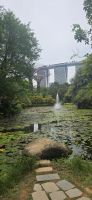 Gardens by the Bay - Singapur 