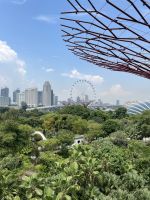 Gardens by the Bay