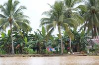 Kinabatangan Fluss