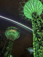 Lightshow, Supertrees, Gardens by the Bay, Singapur.jpeg