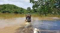 Malaysia, Bootsfahrt in den Taman Negara NP