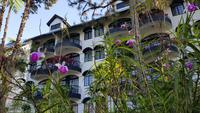 Malaysia, Cameron Highlands, Strawberry Resort