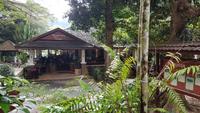 Malaysia, Mutiara Taman Negara Resort, Restaurant