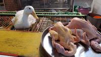 Malaysia, Penang, Markthalle