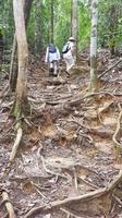 Malaysia, Taman Negara NP