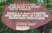 Malaysia. Taman Negara Nationalpark. 