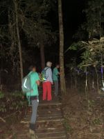Malaysia. Taman Negara Nationalpark. Im finsteren Dschungel